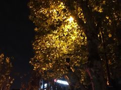 -外婆家(杭州马塍店·杭帮菜名店)
