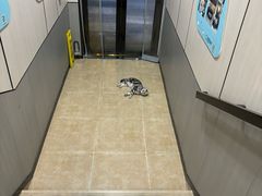 -半岛宠物医院24小时(西派城店)