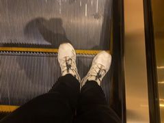 -澳门威尼斯人综合度假区
