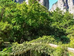-雁荡山风景名胜区