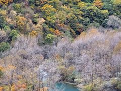 -叠溪松坪沟景区