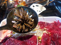 -钢管厂五区小郡肝火锅串串香(总店)