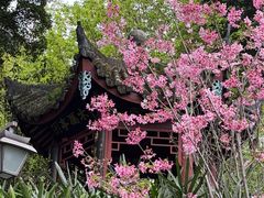 -乌山风景区