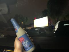 -枫花园汽车电影院(朝阳公园店)