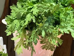 -草原塞蛮羊火锅城(港湾店)