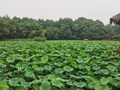 -兰亭风景区