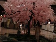 -添赐温泉馆(上南路店)
