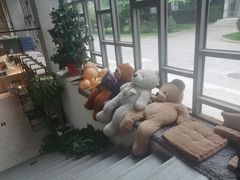 -当绿咖啡馆