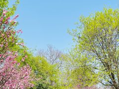-洨河生态公园