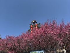 -茅山东方盐湖城景区