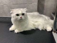 -宠颐生嘉德动物医院