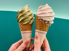 牛乳冰淇淋-CHOCHENG&CO.(欢乐海岸店)