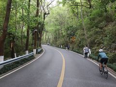 -龙井村