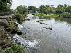 -贵阳市花溪国家城市湿地公园
