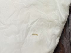 -华记食馆·华记肠粉(柑园南店)