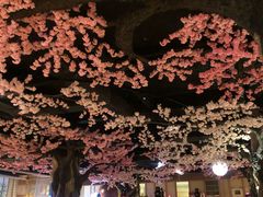 -蓝鲸湾汤泉(包河店)