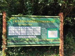 -青龙山国家森林公园