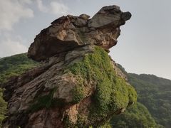 -海上云台山景区