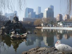 -团结湖公园