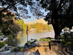 -荔湾湖公园