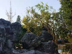 -洪湖家庭农场·团建·露营·会议