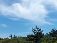 -涉地可支