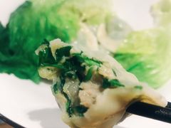 荠菜鲜肉饺-袁记云饺(鼓楼店)