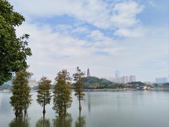 -顺峰山公园