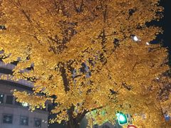 -大连人民广场