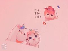 -三花喵·撸猫购宠·宠物生活馆(虹桥南丰城店)