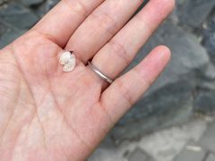 -恭王府博物馆