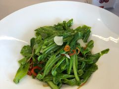 太湖银鱼炒山苏-RIVIERA 松鹤楼(外滩店)