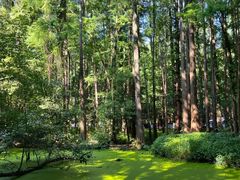 -西湖风景区-江洋畈生态公园