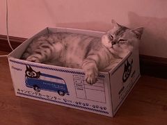 -万象影城(深圳布吉万象汇IMAX店)