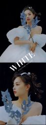 -纯色时光婚纱艺术馆WHITE