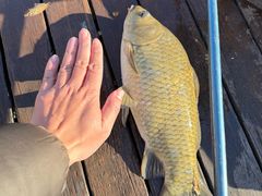 -酷鱼垂钓CLUB(朝阳区博大路店 )