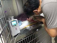 -美联众合动物医院·24h转诊中心