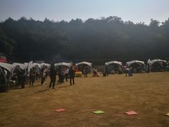 -龙寺生态园