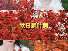 -广州市帽峰山景区