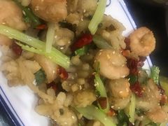 -津津乐乐