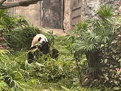 -石排湾郊野公园