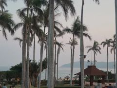 -三亚亚龙湾红树林度假酒店