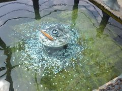-丽江玉水寨