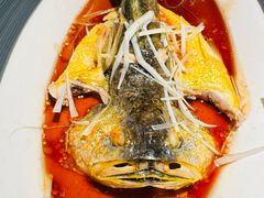 -前海沿·青岛菜(大拇指广场石老人店)