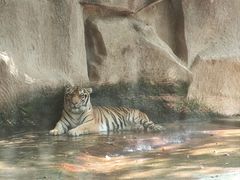 -荆州中山公园动物园