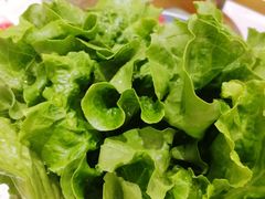 -若爱猪肚鸡·啫啫煲(循礼门M+店)