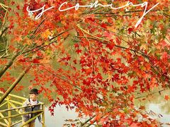 -田野绿世界