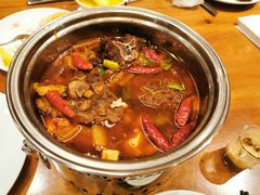 -嘉定凯悦·咖啡厅