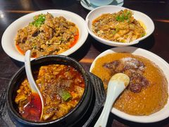 -陈麻婆豆腐总店