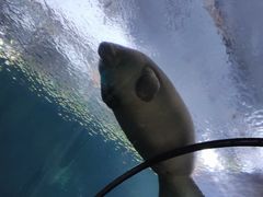 -珠海长隆海洋王国